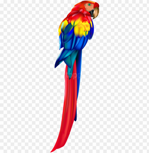  red parrot clipart photo - parrot Free download PNG with alpha channel extensive images