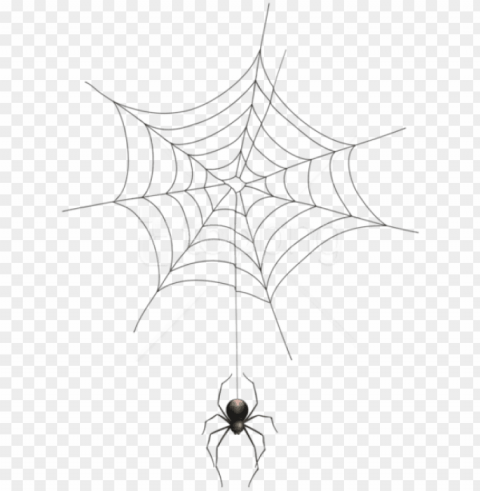free download spider and web transparent - spider web transparent background PNG images without licensing