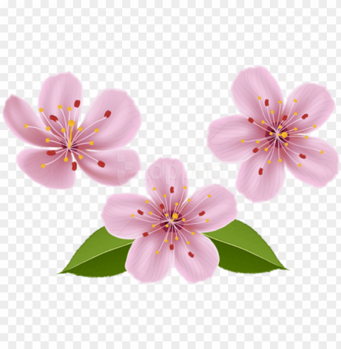 free png download spring flowers png images - transparent flower clip art Clear background PNGs