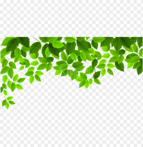 free download spring leaves decoration - spring PNG transparent images for websites