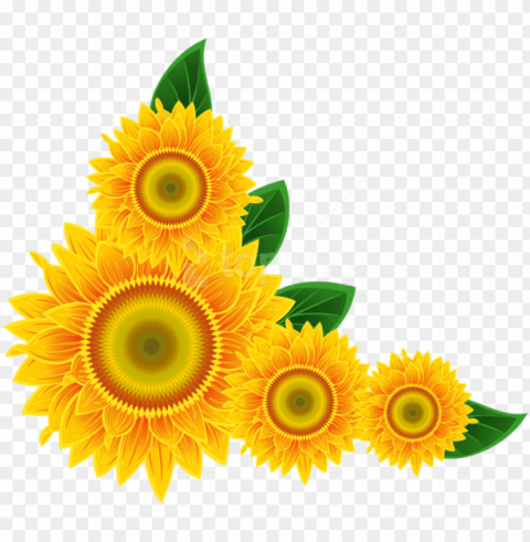 free download sunflower corner decoration clipart - girassol para imprimir PNG Isolated Design Element with Clarity