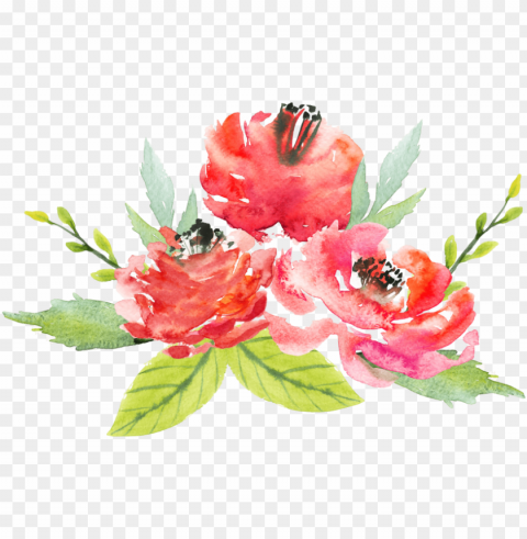 free download watercolor red flowers transparent - water color flower Clear PNG pictures assortment PNG transparent with Clear Background ID f0180158