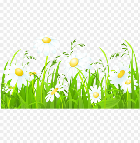 free download white flowers and grass - clipart of grass and flowers PNG with transparent backdrop