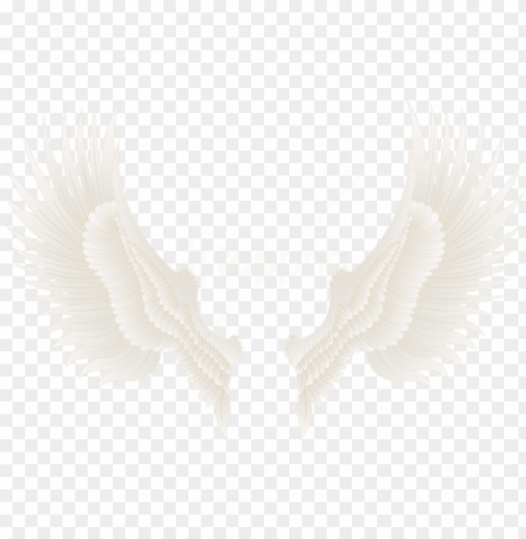 free download white gold wings clipart photo - art wings Transparent PNG Isolated Item with Detail