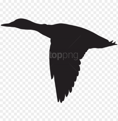free duck flying silhouette - flying duck silhouette vector Isolated Graphic Element in HighResolution PNG