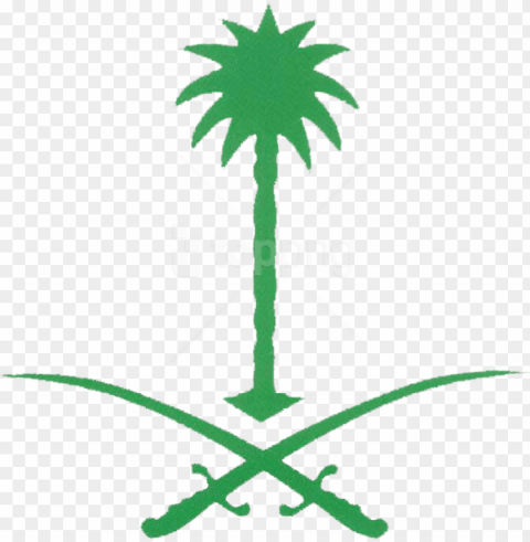  emblem of saudi arabia images transparent - palm saudi arabia ico PNG no background free
