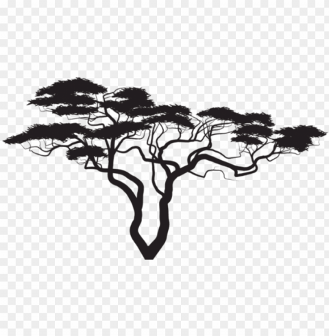 free exotic tree silhouette - tree silhouette clipart transparent PNG graphics with transparency