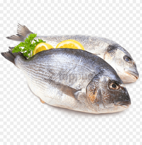 free fish meat image with background - pescado Isolated Item in HighQuality Transparent PNG