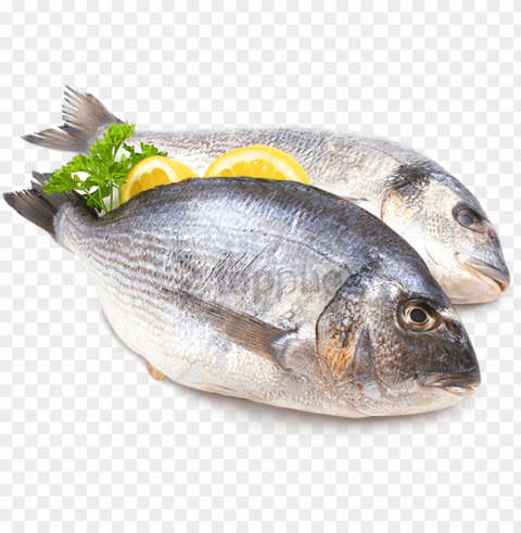 Free Fish Meat Image With Background - Pescado Isolated Item In HighQuality Transparent PNG