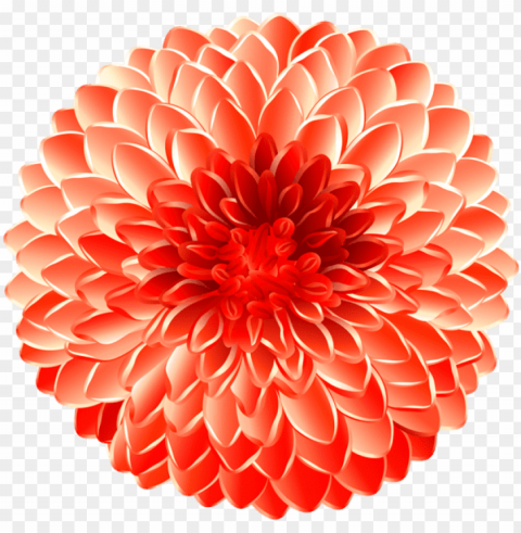 free flower transpa images background images - dahlia PNG artwork with transparency