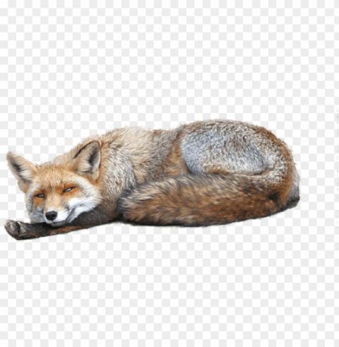 Free Fox Images - عکس های فانتزی زیبا PNG Clip Art Transparent Background