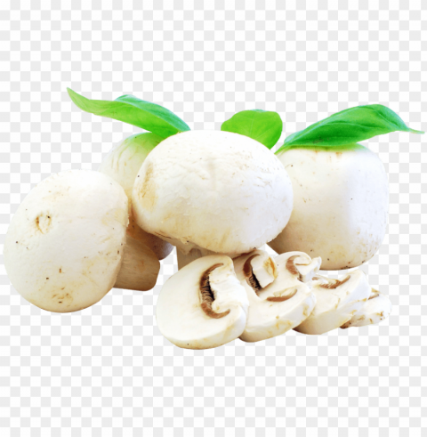 free fresh mushrooms images - mushrooms food PNG transparent graphics for download