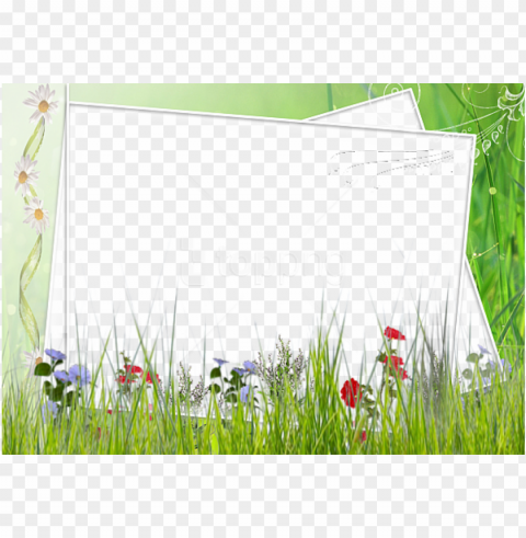 free green and white frame with field - green flower borders and frames Transparent PNG Isolated Graphic Detail