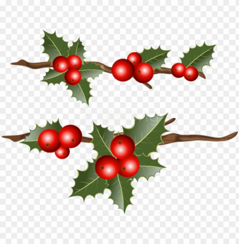 free holly branches images transparent - holly free PNG Image Isolated with High Clarity