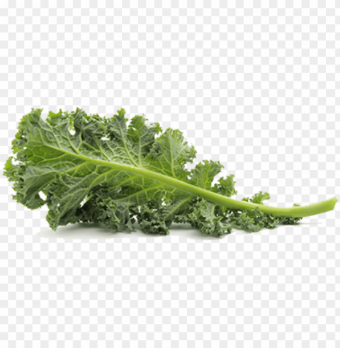 free kale pic images - kale Transparent Background Isolated PNG Icon