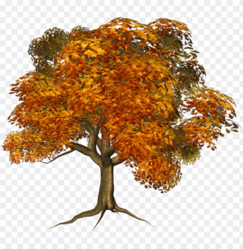 free large fall tree images - background autumn tree clipart PNG with transparent overlay