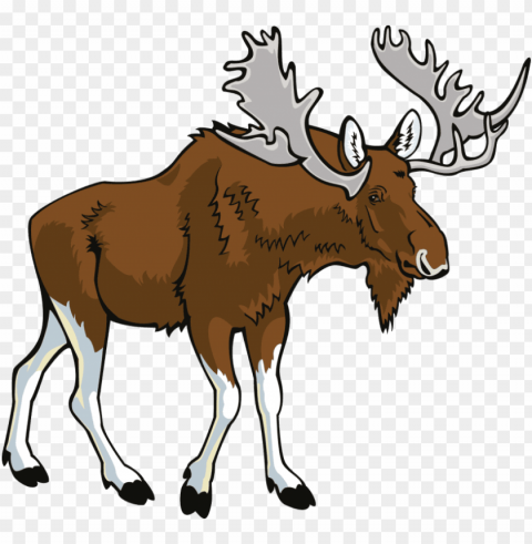 free moose - moose clipart Transparent background PNG images complete pack