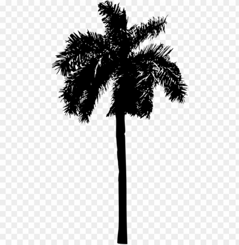 free palm tree transparent - palm tree silhouette PNG transparency images