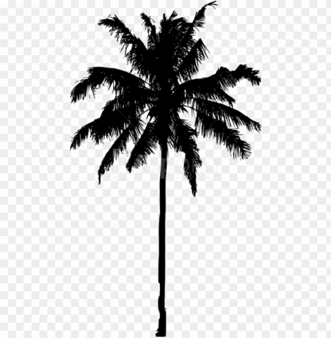 free palm tree silhouette images transparent - palm tree silhouette Isolated Element in HighQuality PNG