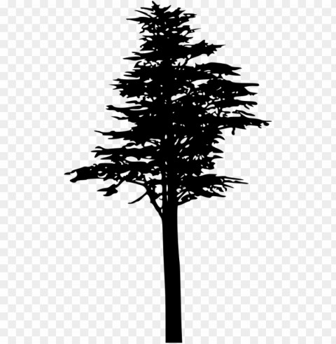 free pine tree silhouette - pine Transparent PNG images with high resolution