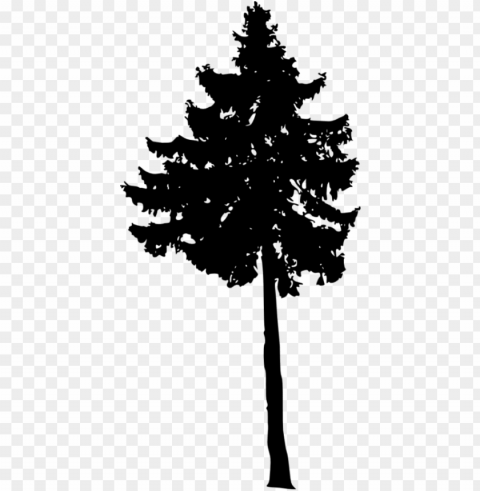 free pine tree silhouette images transparent - portable network graphics PNG Graphic Isolated on Clear Backdrop