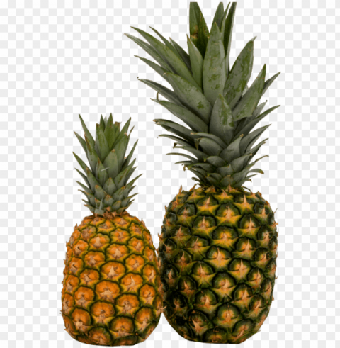free pineapple images transparent - nanas PNG Image Isolated with HighQuality Clarity