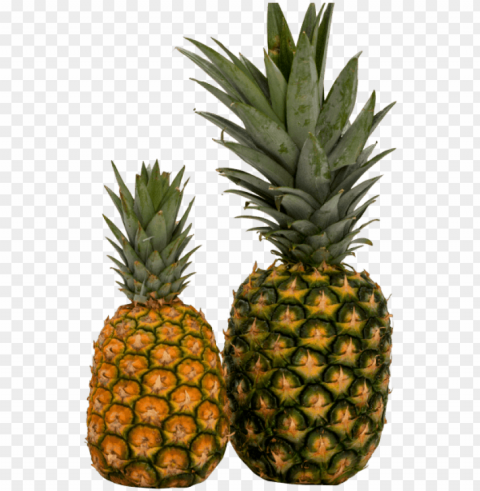 Free Pineapple Images Transparent - Nanas PNG Image Isolated With HighQuality Clarity