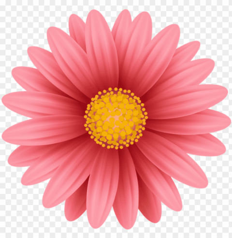 free red flower images transparent - sunflower clipart Isolated Graphic with Clear Background PNG