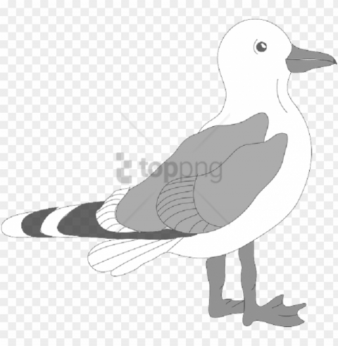 seagull template image with - bird clip art Transparent PNG images free download