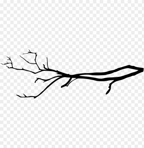 free simple tree branch transparent - tree branch PNG images with alpha channel diverse selection