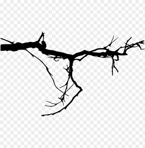 free simple tree branch images - tree branches background Isolated Item with HighResolution Transparent PNG