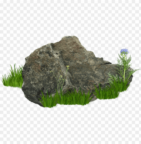 free stones and rocks images transparent - rocks and bushes PNG Graphic Isolated with Transparency