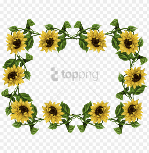 free sunflower frame image with - sunflower border background PNG transparent elements complete package