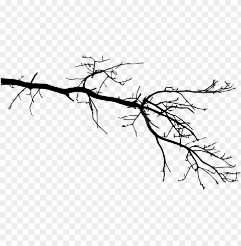 free tree branch - tree branch drawing PNG images with alpha transparency diverse set