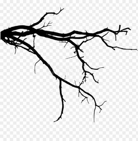 tree branch - tree branch silhouette Free PNG file