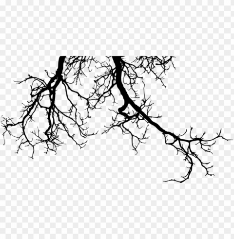 free tree branches silhouette images transparent - creepy tree silhouette PNG files with no background wide assortment