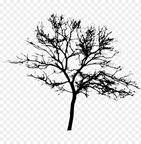 free tree silhouette - tree silhouette background High-quality transparent PNG images