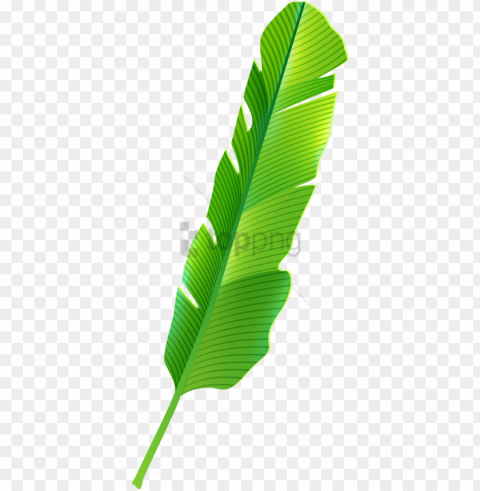 free tropical banana leaf image with - banana leaves clipart PNG transparent photos comprehensive compilation