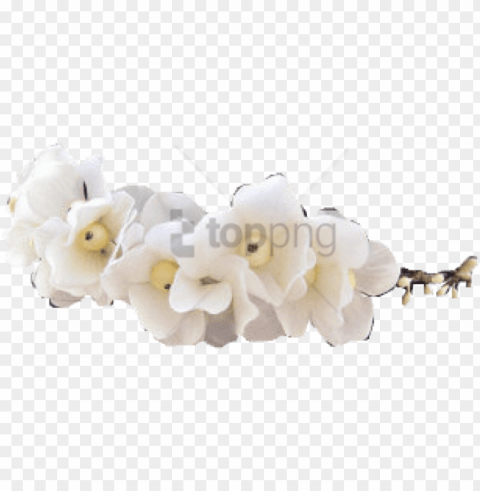 free tumblr transparent flower crown image - transparent white flower crow PNG images for websites
