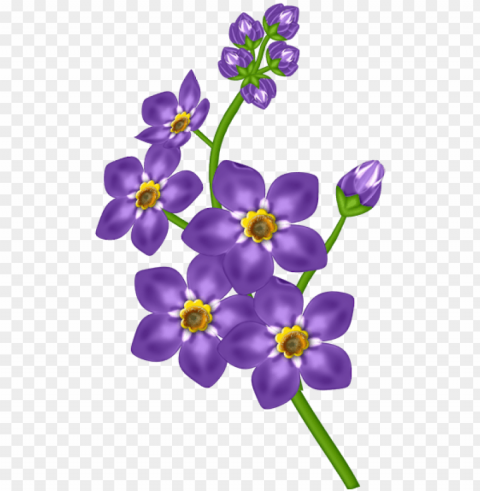 Free Purple Orchid- Mothers Day Wishes From Son PNG Graphic With Isolated Clarity