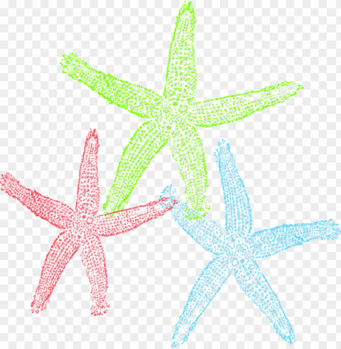 free set of three colorful starfish clip art - graffitee studios love starfish graphic art on wrapped Clear PNG