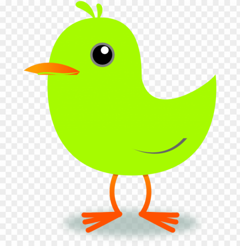 free spring bird Transparent Background PNG Isolated Graphic