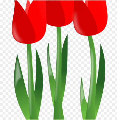 free spring flowerfreebest free - mothers day flowers Isolated Character in Transparent Background PNG