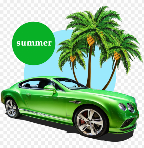 free summer palm tree - summer Clear Background PNG Isolated Element Detail