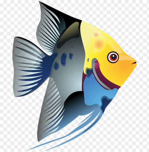  tropical fish clipart PNG high resolution free PNG transparent with Clear Background ID f59889a2