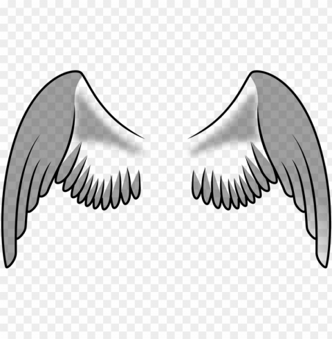 free vector angel wings collection - alas de una ave PNG transparent graphic