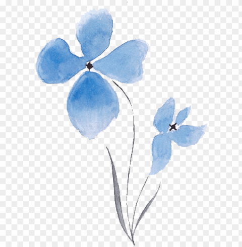 free watercolor hand drawn abstract flower - water color flowers vector Transparent Background PNG Isolated Item