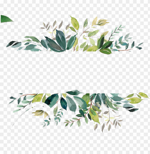 free watercolor leaves banner - foliage watercolour Isolated Item with HighResolution Transparent PNG