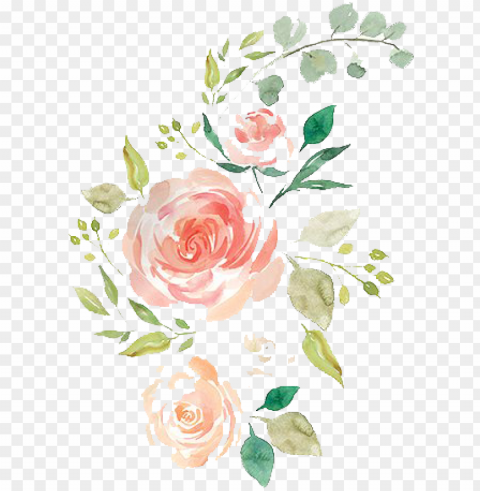 free watercolor pencil hand drawn flowers - hand drawn flowers Isolated PNG Image with Transparent Background
