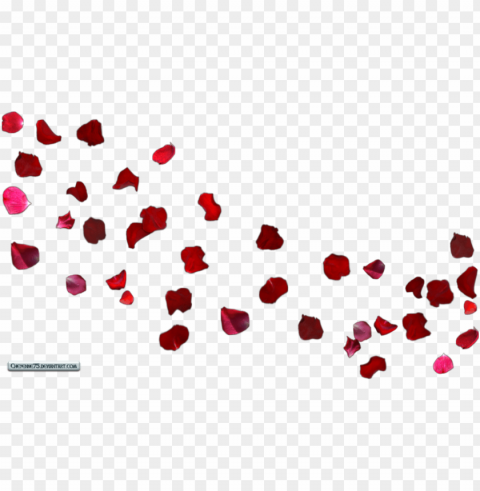 free wedding falling rose petals animation background - flower petals in the wind PNG with alpha channel for download